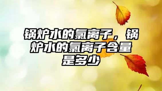 鍋爐水的氯離子，鍋爐水的氯離子含量是多少
