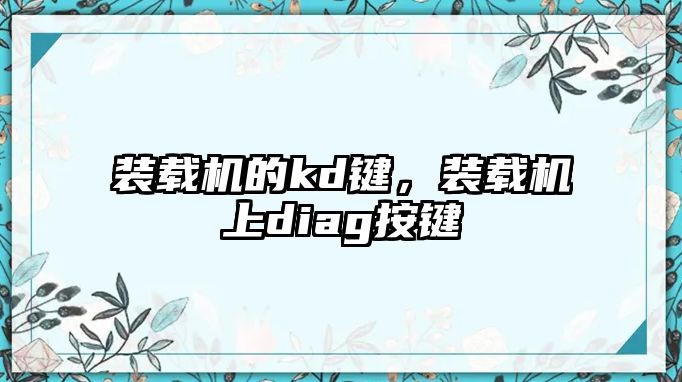 裝載機(jī)的kd鍵，裝載機(jī)上diag按鍵