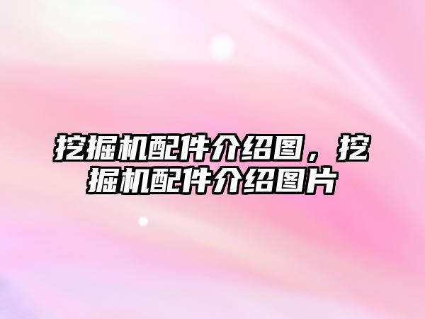 挖掘機配件介紹圖，挖掘機配件介紹圖片