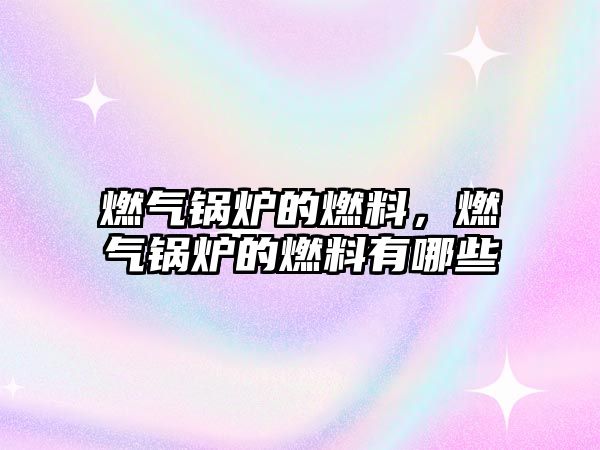 燃?xì)忮仩t的燃料，燃?xì)忮仩t的燃料有哪些
