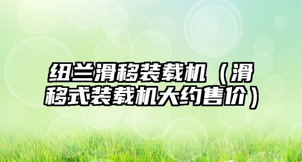 紐蘭滑移裝載機(jī)（滑移式裝載機(jī)大約售價）