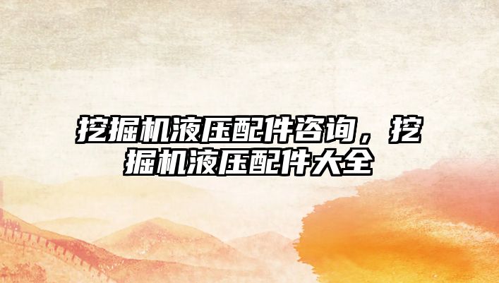 挖掘機(jī)液壓配件咨詢，挖掘機(jī)液壓配件大全