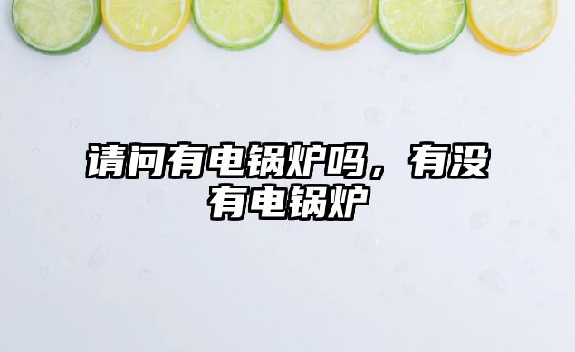 請問有電鍋爐嗎，有沒有電鍋爐