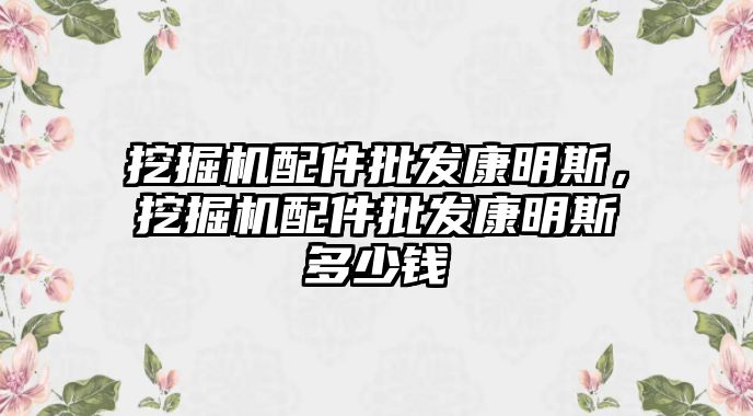 挖掘機(jī)配件批發(fā)康明斯，挖掘機(jī)配件批發(fā)康明斯多少錢