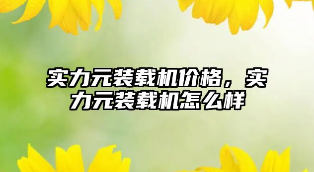 實(shí)力元裝載機(jī)價(jià)格，實(shí)力元裝載機(jī)怎么樣