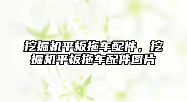 挖掘機(jī)平板拖車配件，挖掘機(jī)平板拖車配件圖片