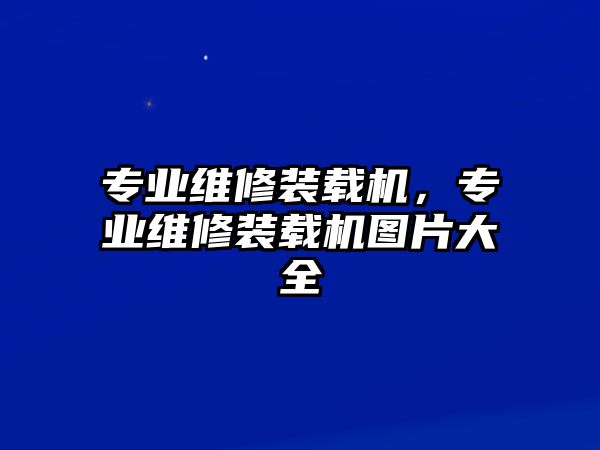 專業(yè)維修裝載機(jī)，專業(yè)維修裝載機(jī)圖片大全