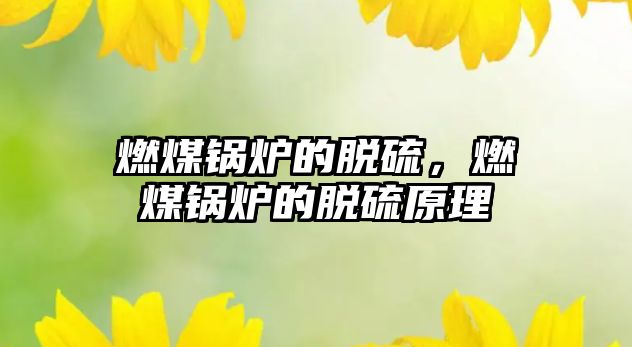燃煤鍋爐的脫硫，燃煤鍋爐的脫硫原理