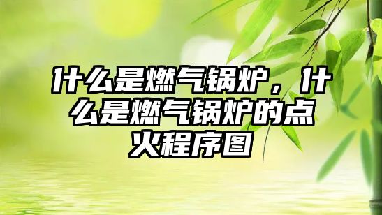 什么是燃?xì)忮仩t，什么是燃?xì)忮仩t的點(diǎn)火程序圖