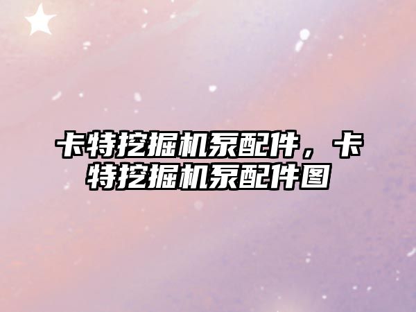 卡特挖掘機(jī)泵配件，卡特挖掘機(jī)泵配件圖