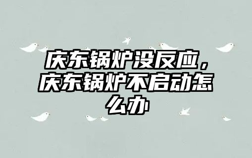 慶東鍋爐沒反應(yīng)，慶東鍋爐不啟動(dòng)怎么辦