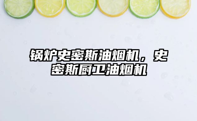 鍋爐史密斯油煙機(jī)，史密斯廚衛(wèi)油煙機(jī)