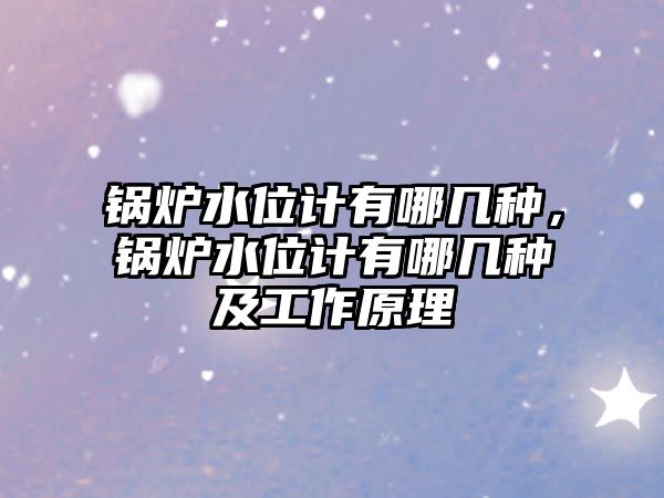 鍋爐水位計有哪幾種，鍋爐水位計有哪幾種及工作原理