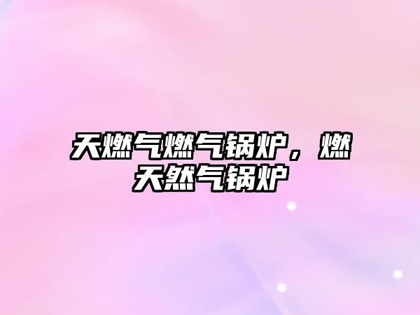 天燃?xì)馊細(xì)忮仩t，燃天然氣鍋爐