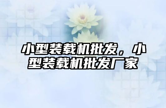 小型裝載機(jī)批發(fā)，小型裝載機(jī)批發(fā)廠(chǎng)家