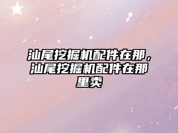 汕尾挖掘機配件在那，汕尾挖掘機配件在那里賣