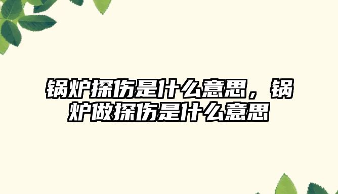 鍋爐探傷是什么意思，鍋爐做探傷是什么意思
