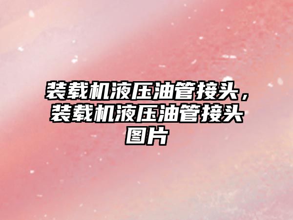 裝載機(jī)液壓油管接頭，裝載機(jī)液壓油管接頭圖片