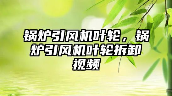 鍋爐引風(fēng)機(jī)葉輪，鍋爐引風(fēng)機(jī)葉輪拆卸視頻