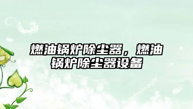 燃油鍋爐除塵器，燃油鍋爐除塵器設(shè)備