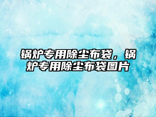 鍋爐專用除塵布袋，鍋爐專用除塵布袋圖片