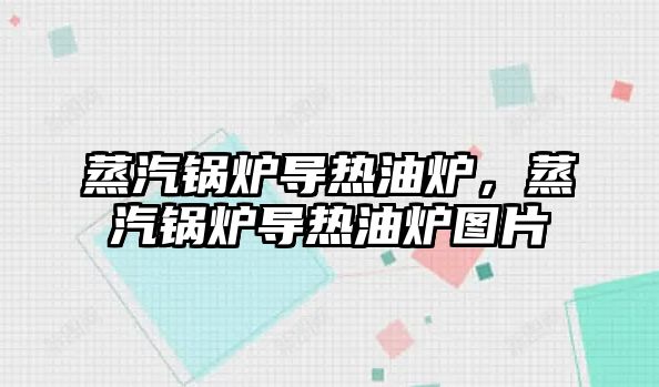 蒸汽鍋爐導(dǎo)熱油爐，蒸汽鍋爐導(dǎo)熱油爐圖片
