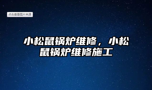 小松鼠鍋爐維修，小松鼠鍋爐維修施工