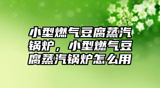 小型燃?xì)舛垢羝仩t，小型燃?xì)舛垢羝仩t怎么用