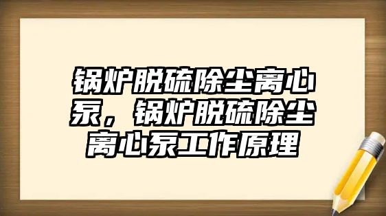鍋爐脫硫除塵離心泵，鍋爐脫硫除塵離心泵工作原理