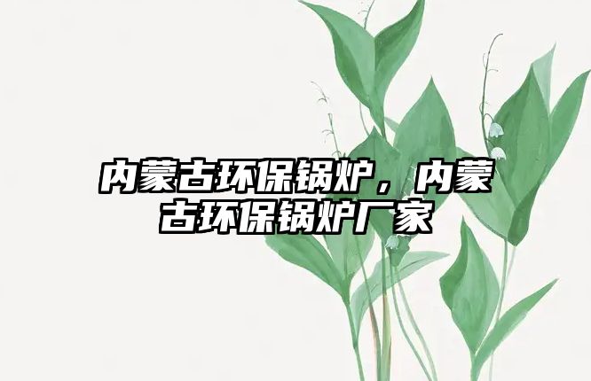 內(nèi)蒙古環(huán)保鍋爐，內(nèi)蒙古環(huán)保鍋爐廠家