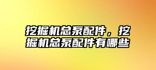 挖掘機(jī)總泵配件，挖掘機(jī)總泵配件有哪些