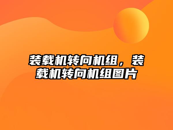 裝載機(jī)轉(zhuǎn)向機(jī)組，裝載機(jī)轉(zhuǎn)向機(jī)組圖片