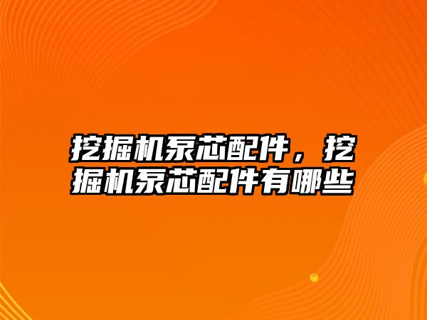 挖掘機泵芯配件，挖掘機泵芯配件有哪些