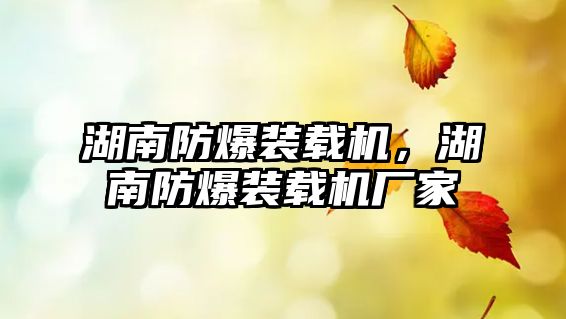 湖南防爆裝載機(jī)，湖南防爆裝載機(jī)廠家
