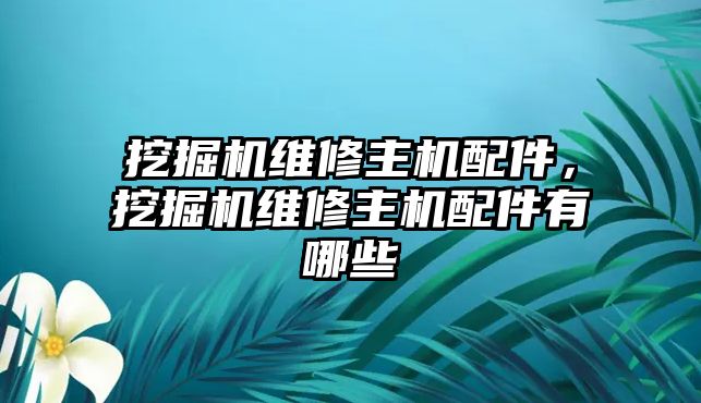 挖掘機(jī)維修主機(jī)配件，挖掘機(jī)維修主機(jī)配件有哪些