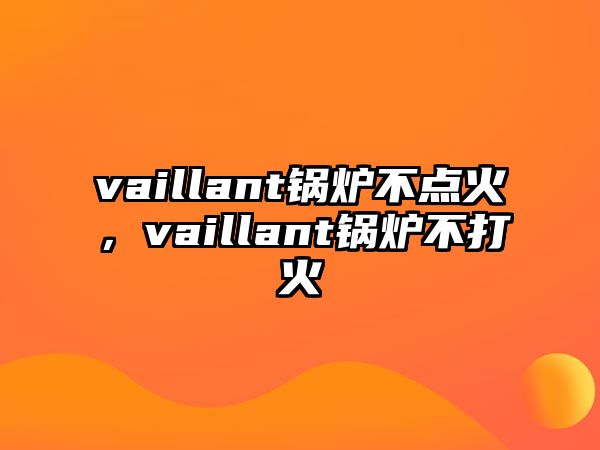 vaillant鍋爐不點火，vaillant鍋爐不打火