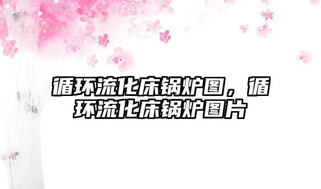 循環(huán)流化床鍋爐圖，循環(huán)流化床鍋爐圖片