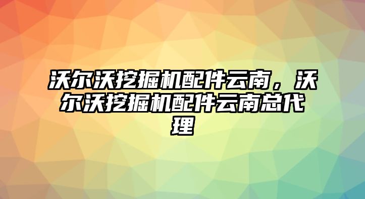 沃爾沃挖掘機配件云南，沃爾沃挖掘機配件云南總代理