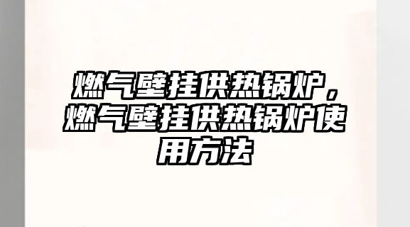 燃?xì)獗趻旃徨仩t，燃?xì)獗趻旃徨仩t使用方法