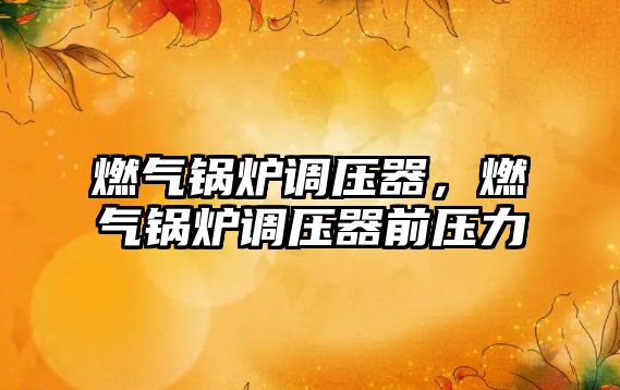 燃?xì)忮仩t調(diào)壓器，燃?xì)忮仩t調(diào)壓器前壓力