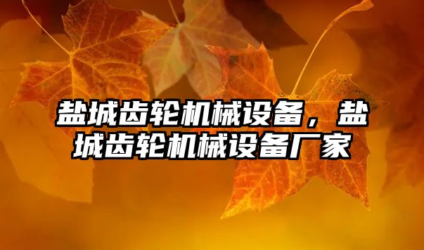 鹽城齒輪機(jī)械設(shè)備，鹽城齒輪機(jī)械設(shè)備廠家