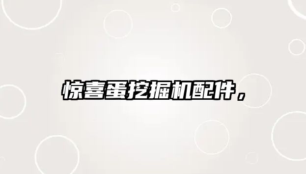 驚喜蛋挖掘機(jī)配件，