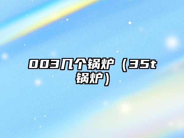 003幾個鍋爐（35t鍋爐）