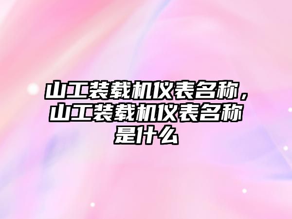 山工裝載機(jī)儀表名稱，山工裝載機(jī)儀表名稱是什么