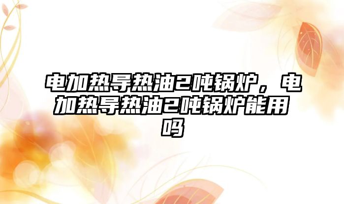 電加熱導(dǎo)熱油2噸鍋爐，電加熱導(dǎo)熱油2噸鍋爐能用嗎