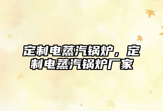 定制電蒸汽鍋爐，定制電蒸汽鍋爐廠家