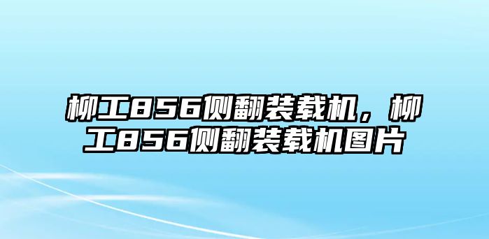 柳工856側(cè)翻裝載機(jī)，柳工856側(cè)翻裝載機(jī)圖片