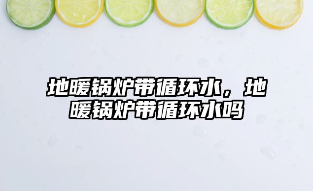 地暖鍋爐帶循環(huán)水，地暖鍋爐帶循環(huán)水嗎