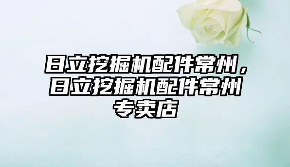 日立挖掘機(jī)配件常州，日立挖掘機(jī)配件常州專賣店