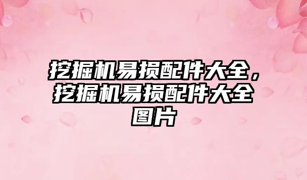 挖掘機易損配件大全，挖掘機易損配件大全圖片